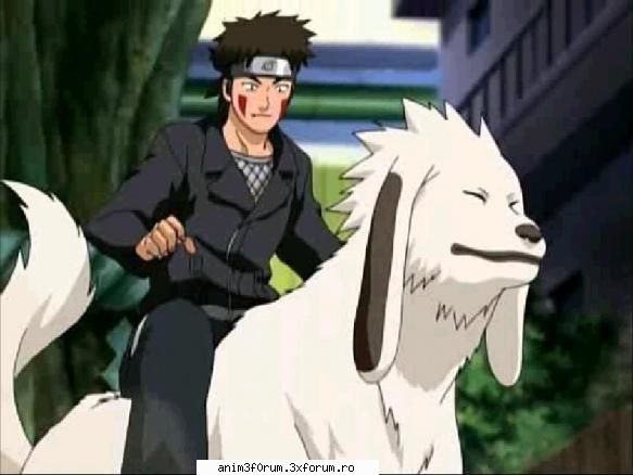 kiba - ~StIlAtaSiRaFiNaTa~ - ...Naruto Shippuuden...